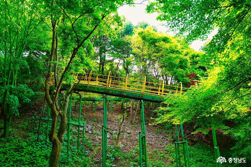 숲속에서즐기는휴식청양고운식물원 15