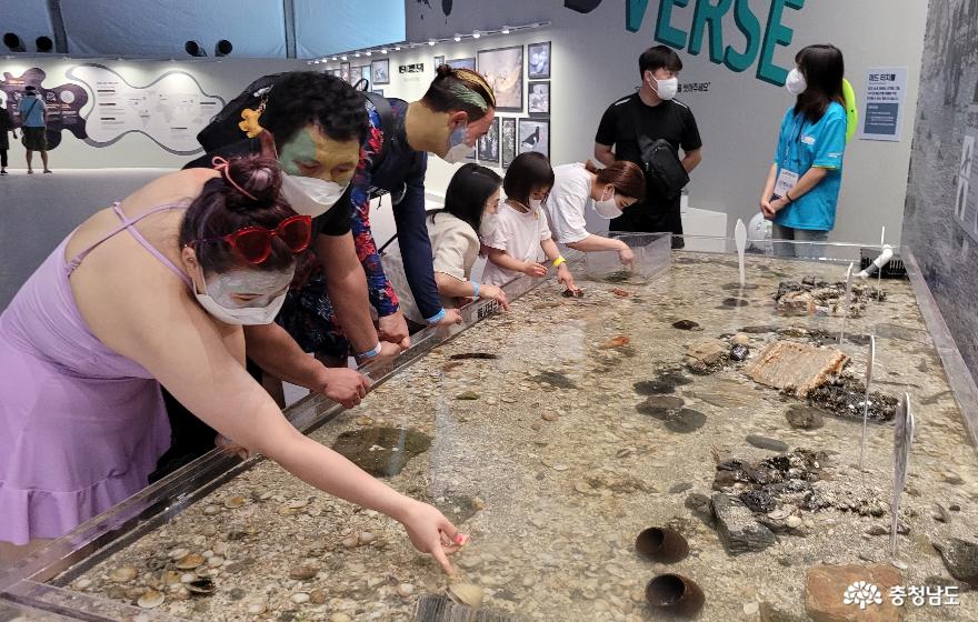 Main Hall, where visitors can touch and experience marine organisms