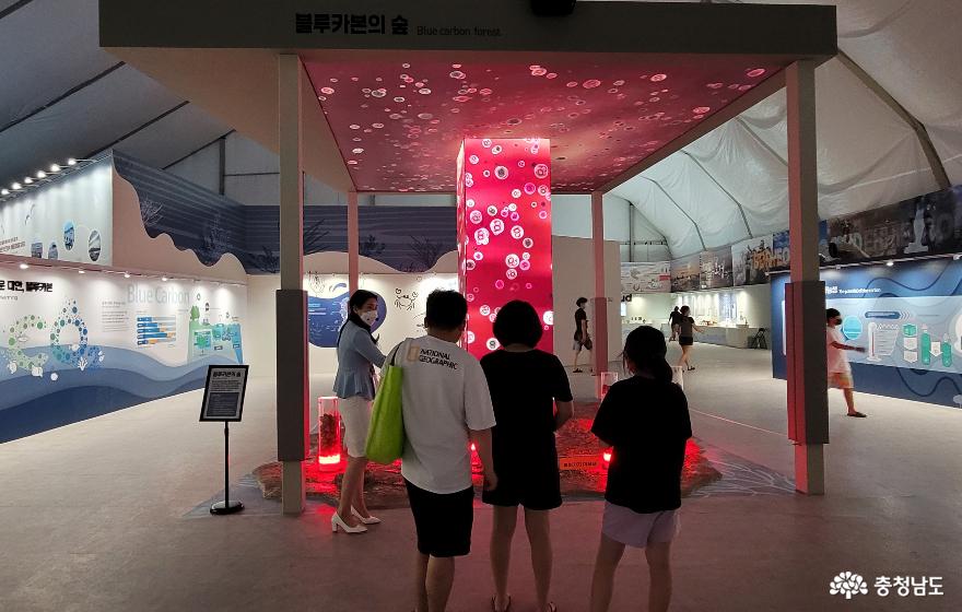 The Blue Carbon Experience Hall where visitors can experience the absorption of carbon dioxide by the marine ecosystem.