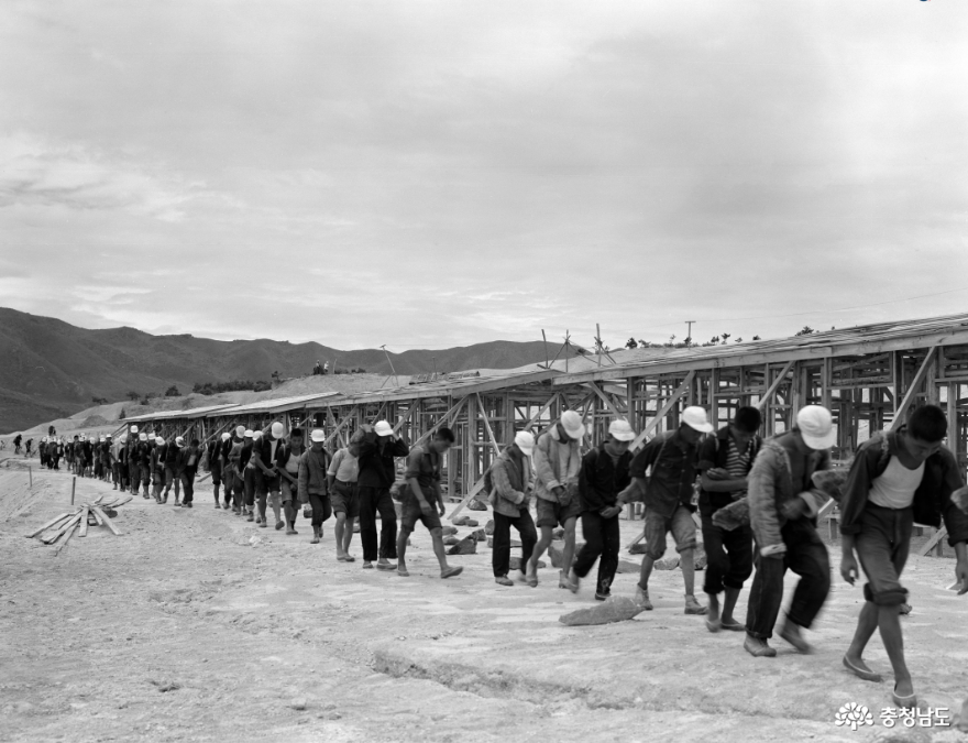 60여 년 전 '서산 개척단' 사업 진행으로 2천 명에 가까운 청년들이 영문도 모른 채 수용돼 강제 노동에 시달렸었다.  