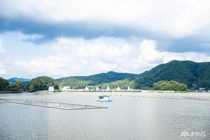 여행 - 출렁다리는 여름이지! 올 여름 최고의 풍경! 예당호 출렁다리 - 충청남도 출렁다리는 여름이지! 올 여름 최고의 풍경! 예당호 출렁다리