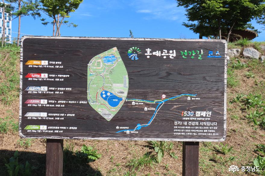 내포 신도시 소하천 탐방 : 신리천 이야기 사진