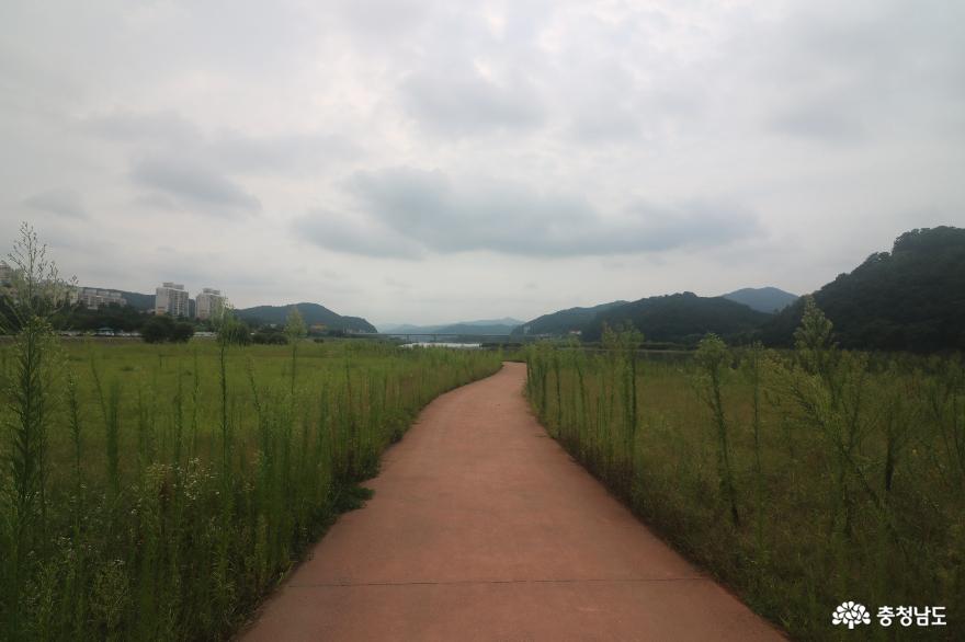 산책하기 좋은 곳,  금강 신관공원 사진