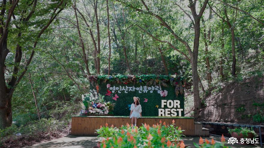 초록의 쉼이 있는 곳 아산 영인산자연휴양림