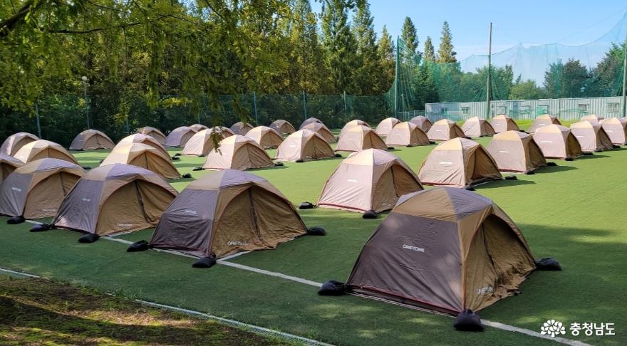 호서대학교 1박2일 캠핑데이에 잔디광장을 채운 텐트. 