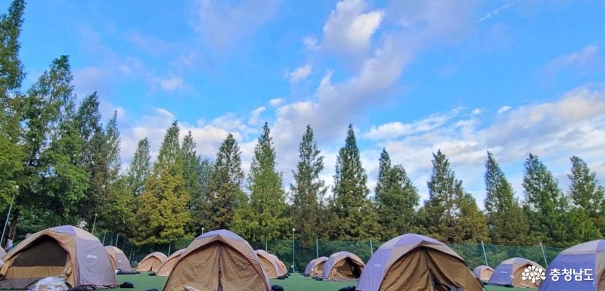 호서대학교 1박2일 캠핑데이 이슬 내린 아침 풍경.