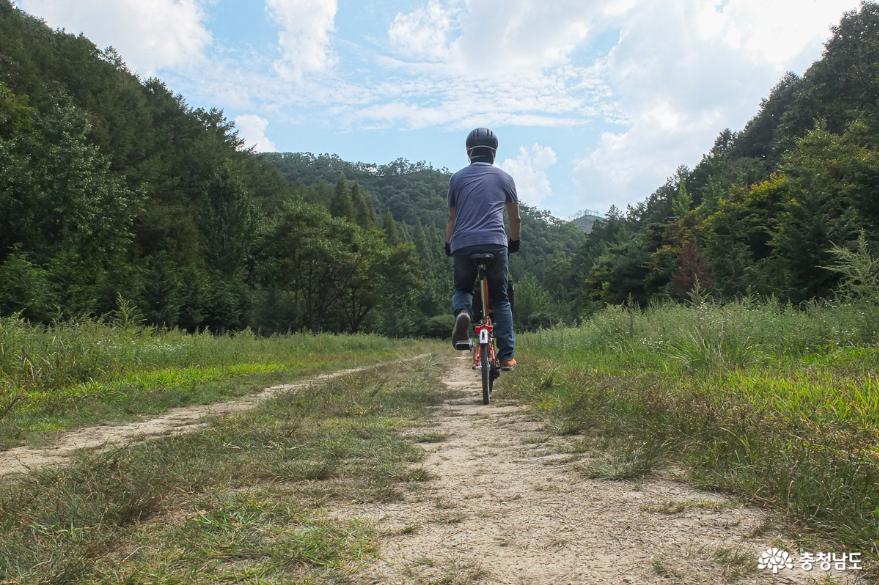 논산시 양촌면에서 벌곡면까지의 자전거 여행 사진