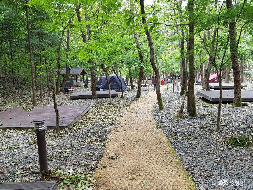 사는이야기 - 편안한 쉼이 있는 성주산 자연휴양림으로 오세요! - 충청남도 편안한 쉼이 있는 성주산 자연휴양림으로 오세요!