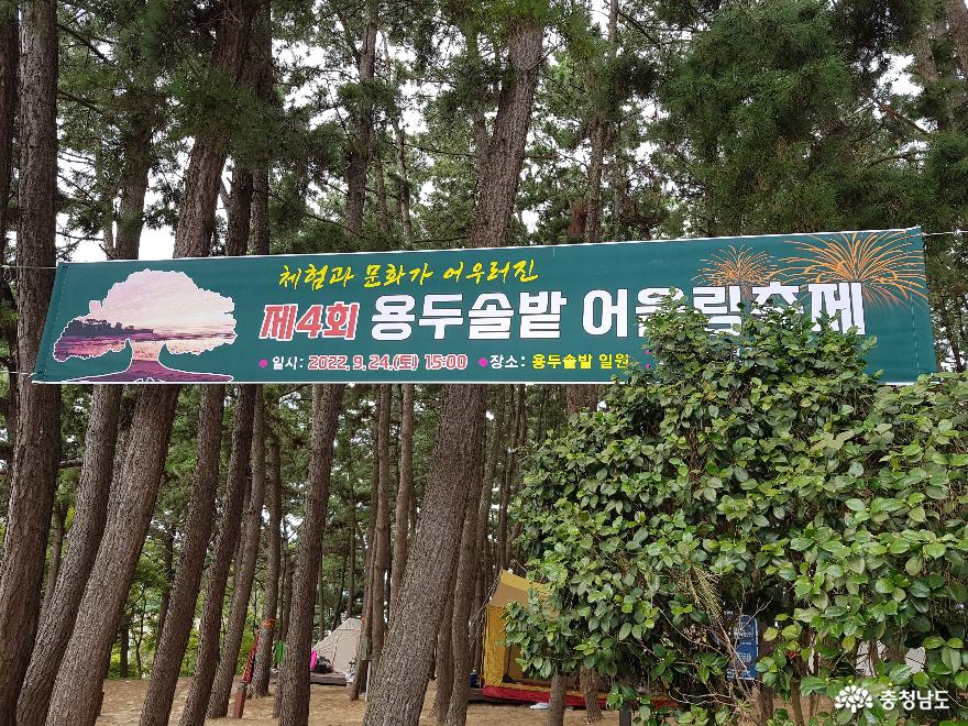 '용두솔밭어울림축제'가  개최된 보령 용두해수욕장.