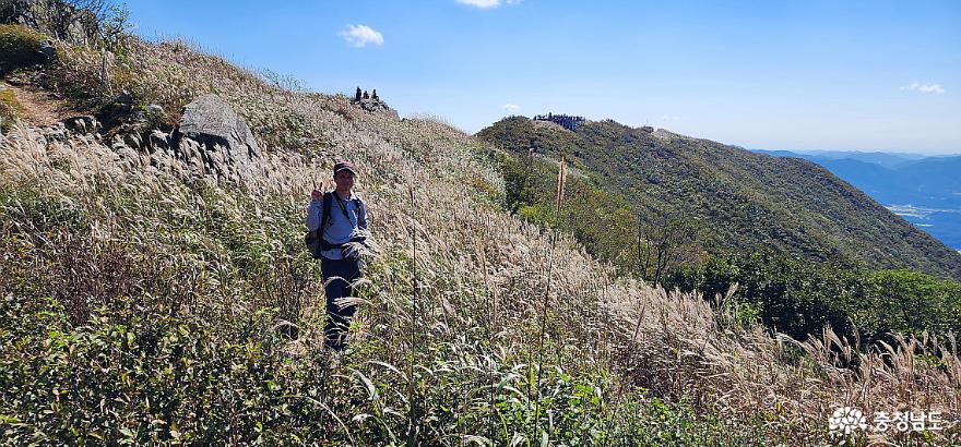 충남의 명산 오서산에서 만난 억새의 하얀 미소 사진
