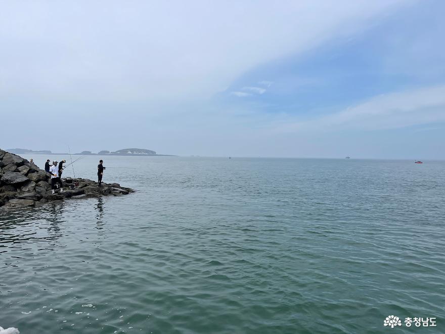 천수만의 보물섬 홍성 죽도에서 나눈 산골아줌마들의 사랑이야기 사진