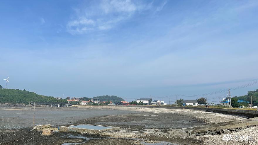 천수만의 보물섬 홍성 죽도에서 나눈 산골아줌마들의 사랑이야기 사진