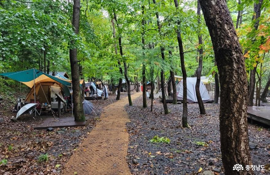 성주산 자연휴양림 숲속 캠핑장.