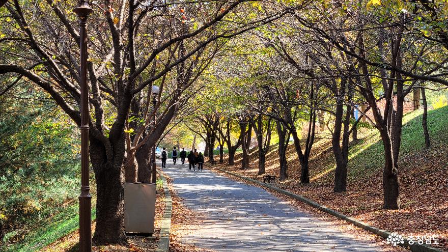 호서대 세출저수지 벚꽃 길 주변의 가을 풍경.