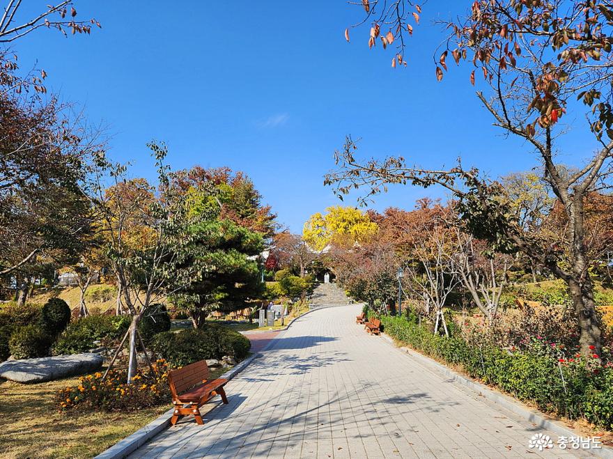 가을이 곱게 내려앉은 아산 공세리 성당 사진