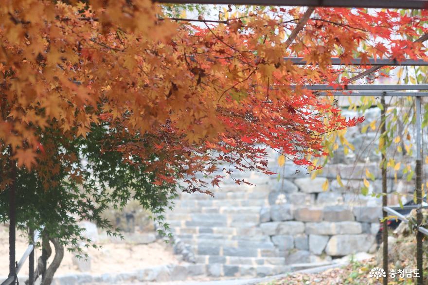 가을 정취  물씬 느껴지는 태조산 성불사 사진