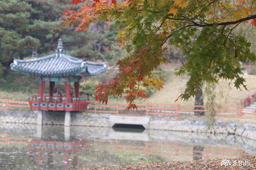 가을날의 산책 명소,  태조산공원