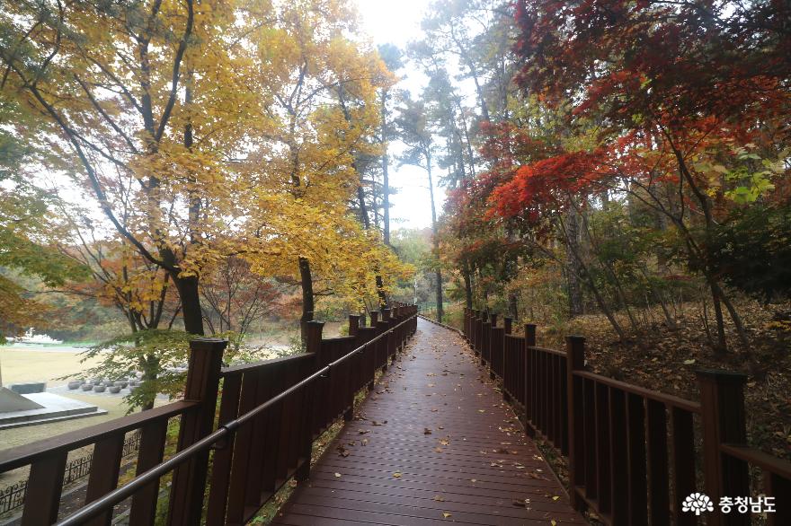 가을날의산책명소태조산공원 10