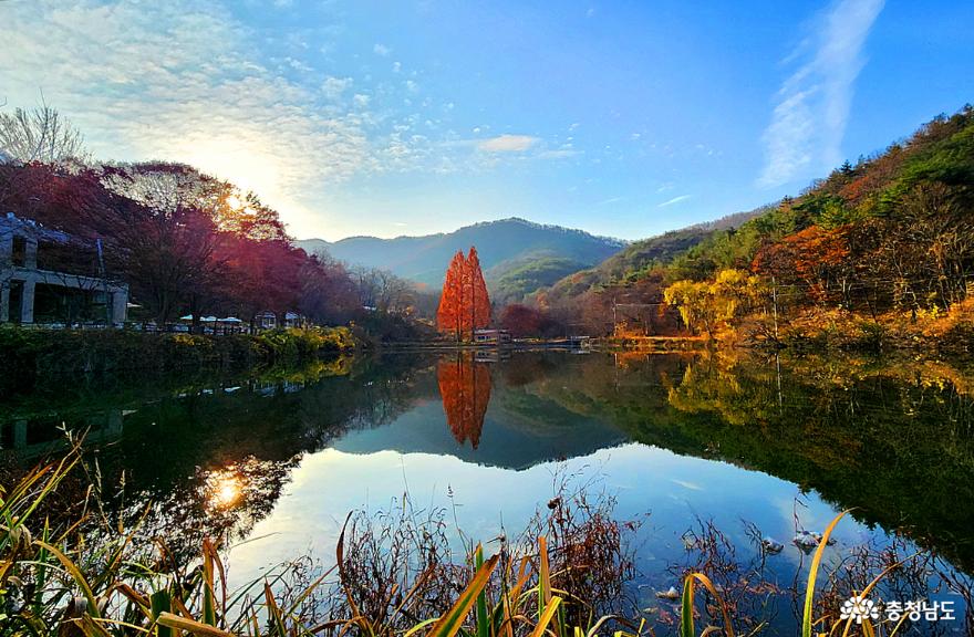만추(晩秋)에도 아름다움을 자랑하는 공주 송곡소류지 사진