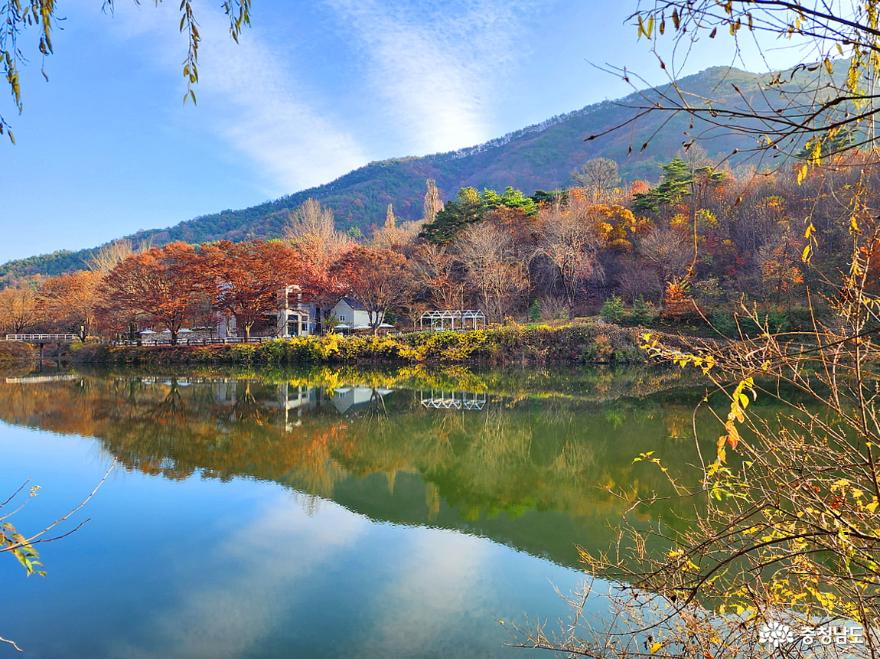 만추(晩秋)에도 아름다움을 자랑하는 공주 송곡소류지 사진