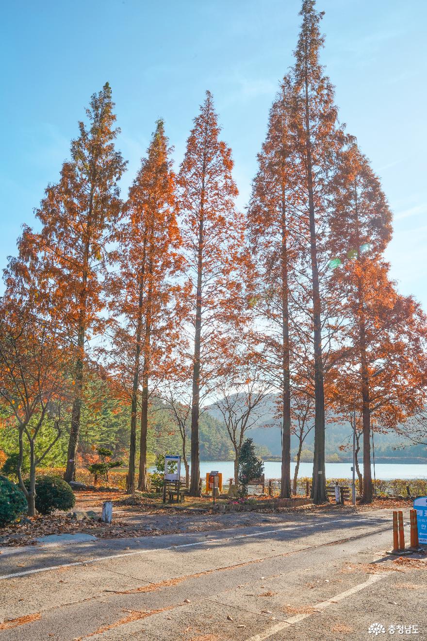 가을빛을따라거닐기좋은무장애여행지서천국립희리산자연휴양림 12