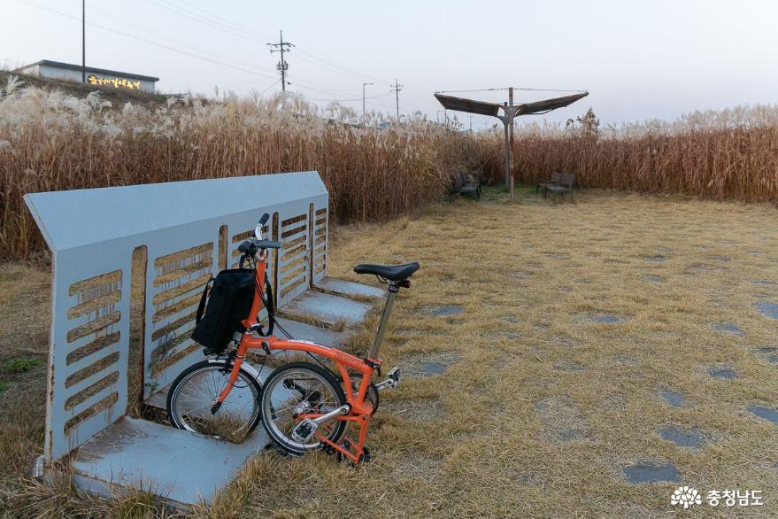 자전거 여행에서 만난 서천군 신성리 갈대밭 사진