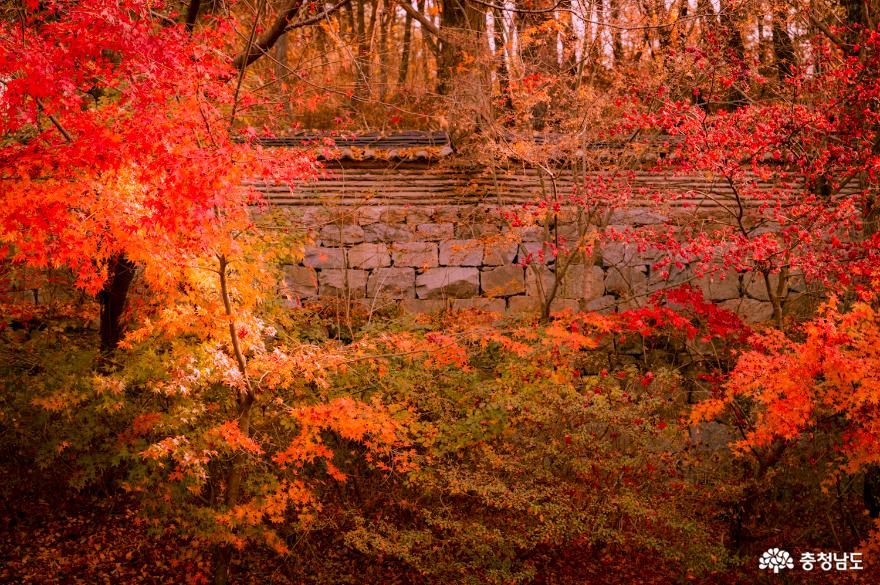 가을 수덕사 사진