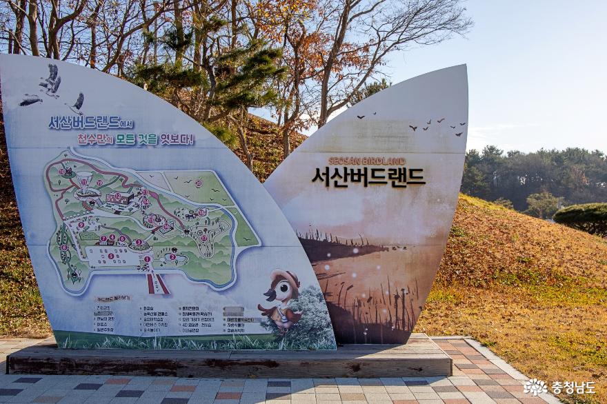 겨울철새가 모여드는 서산 버드랜드 1