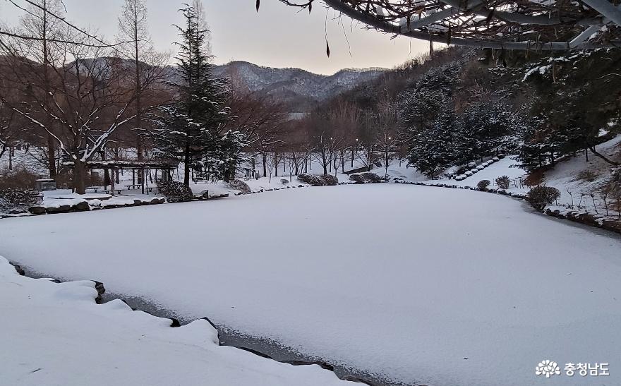 호서대 세심호 겨울 풍경. 