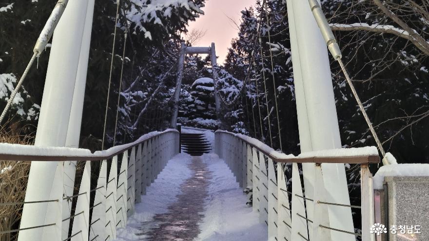 호서대 산책로 흔들다리 겨울 풍경.
