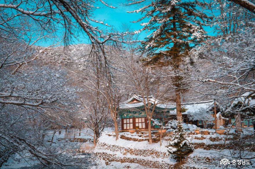 설경이 아름다운 공주 마곡사의 겨울 사진