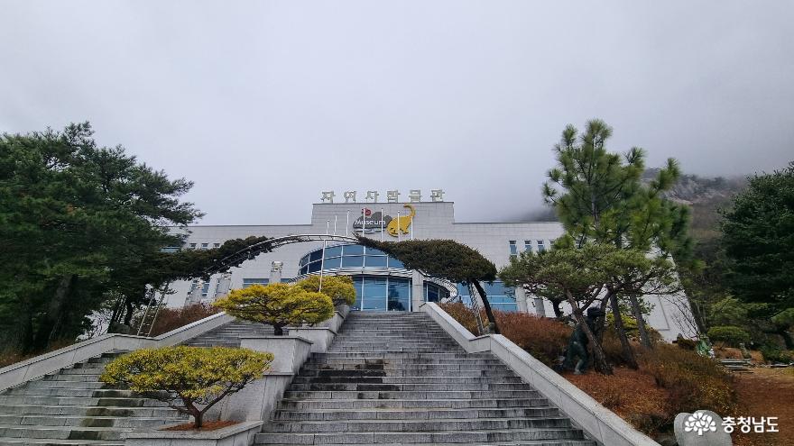 공룡과 미라를 한 곳에서 볼 수 있는 곳, 한국자연사박물관