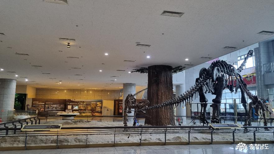 공룡과미라를한곳에서볼수있는곳한국자연사박물관 3