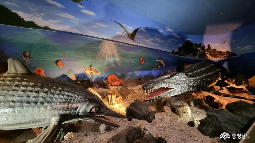 공룡과미라를한곳에서볼수있는곳한국자연사박물관 8