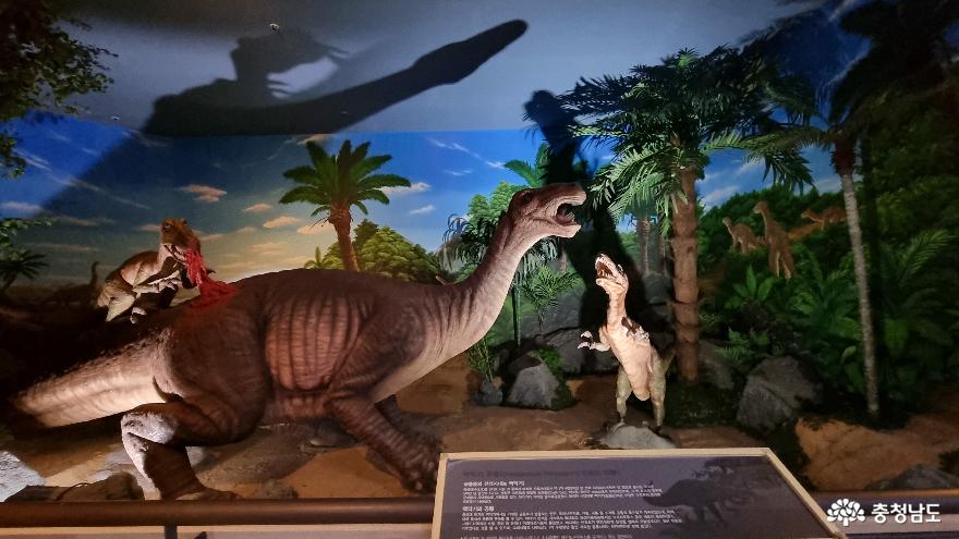 공룡과미라를한곳에서볼수있는곳한국자연사박물관 9