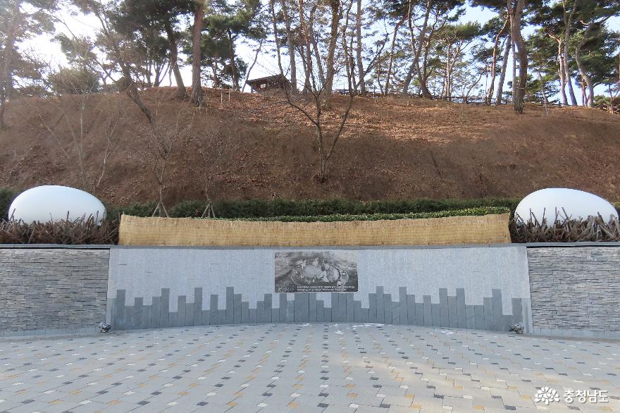 가창오리 군무가 펼쳐지는 예당관광지 겨울 풍경 사진