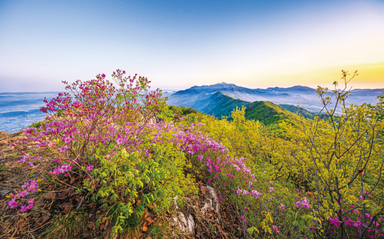 계룡9경 중 향적산 정상 전경