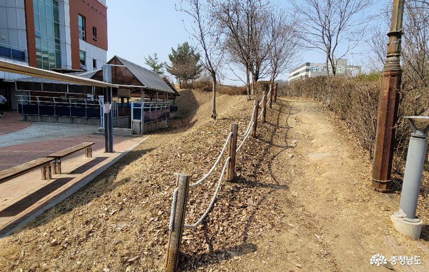천안시 두정도서관 러닝커먼스 산책길. 유적공원으로 연결된다. 