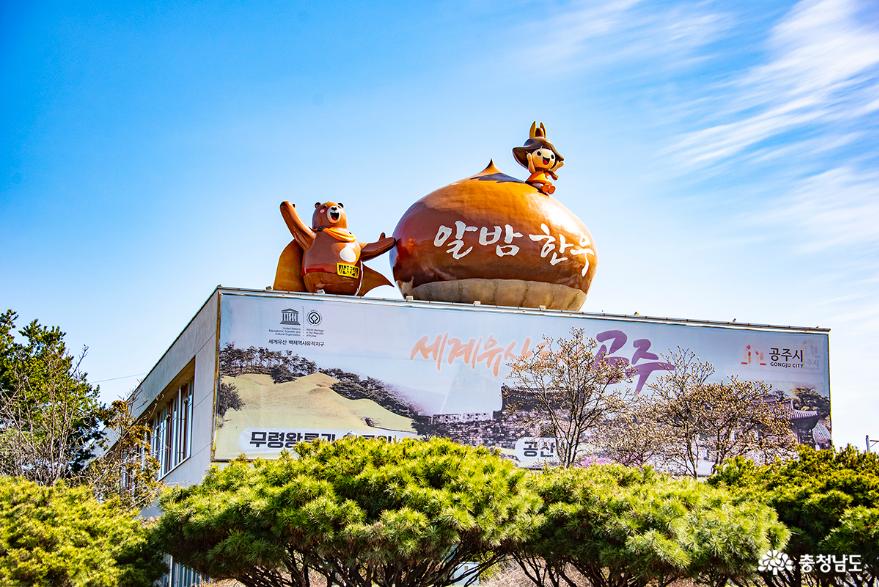 [통통충남]공주시 농업기술센터에 때깔 좋은 봄꽃 만나러 가요!!