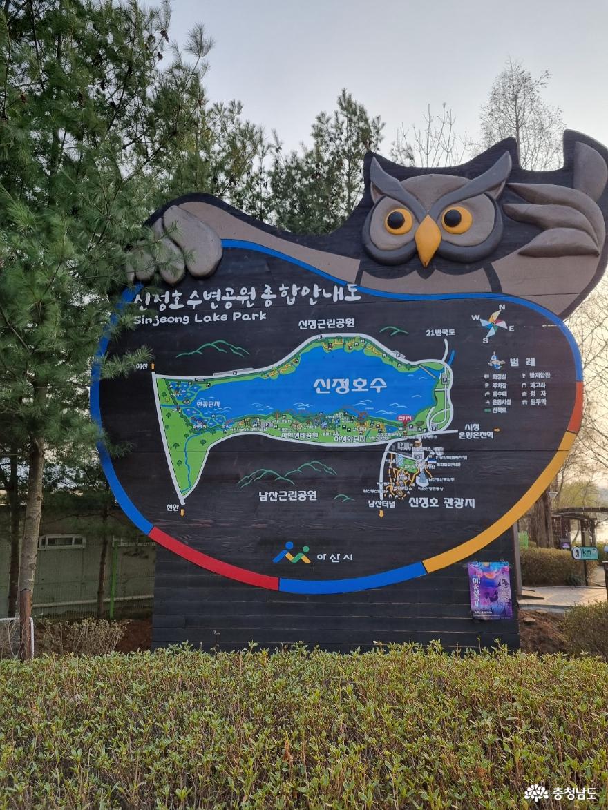 아산신정호수변공원 8