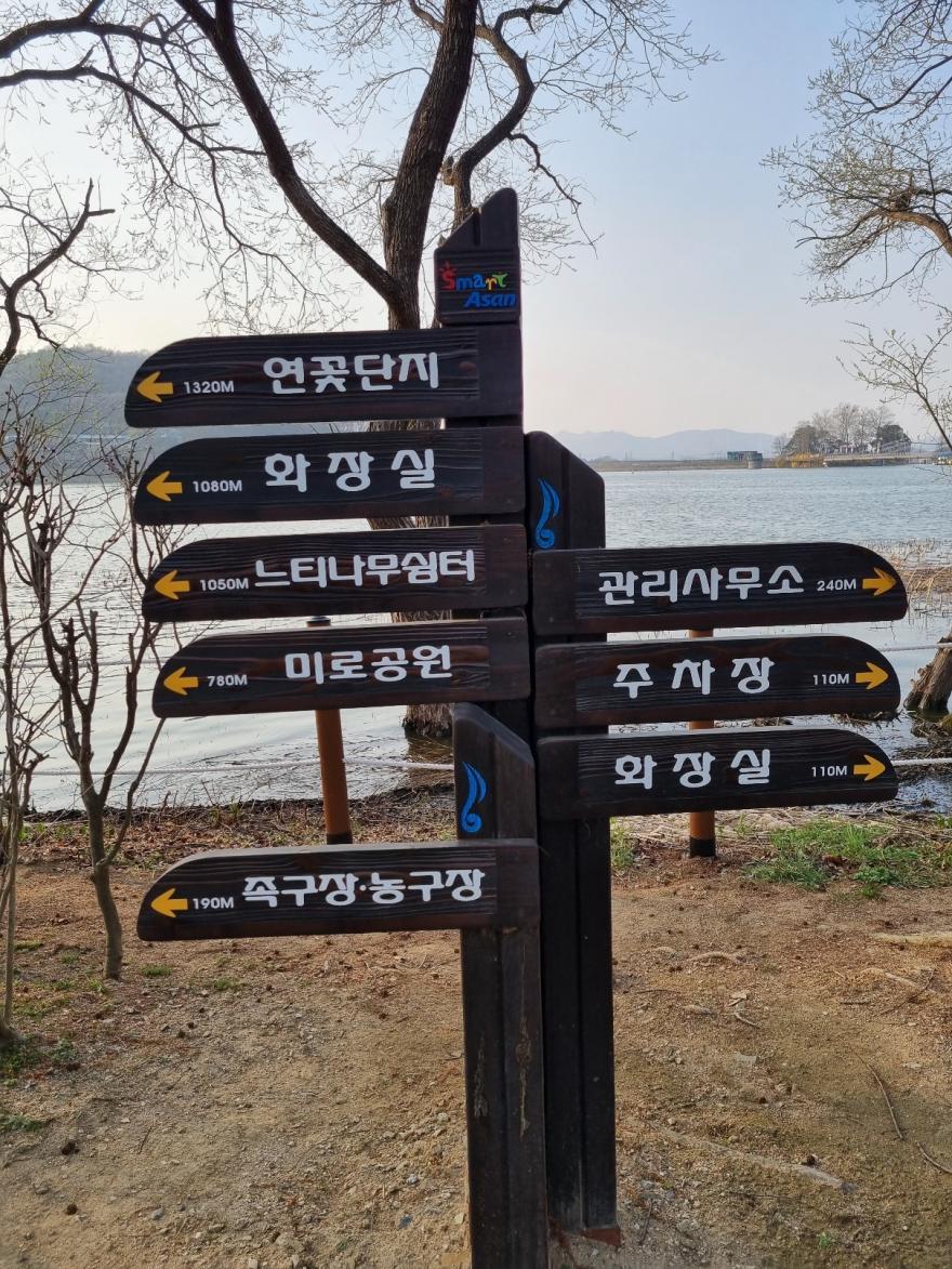 아산신정호수변공원 10