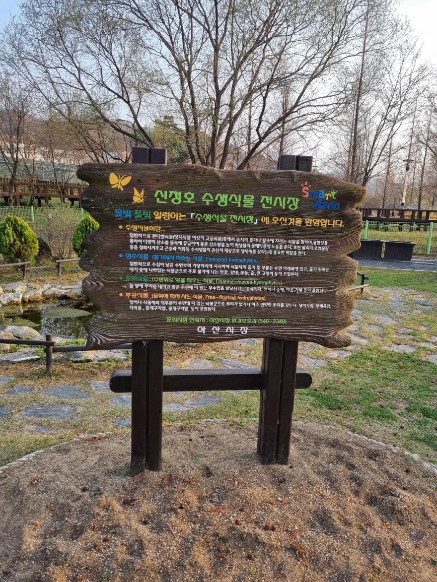 아산신정호수변공원 26