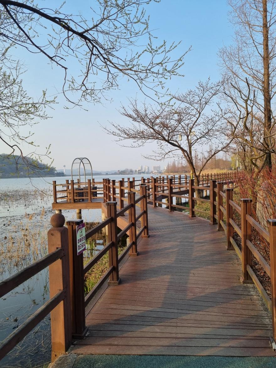 아산신정호수변공원 35