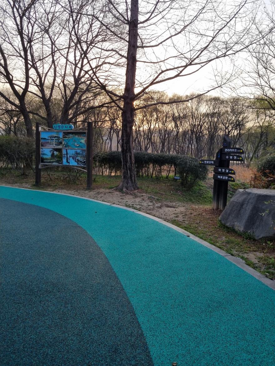 아산신정호수변공원 39