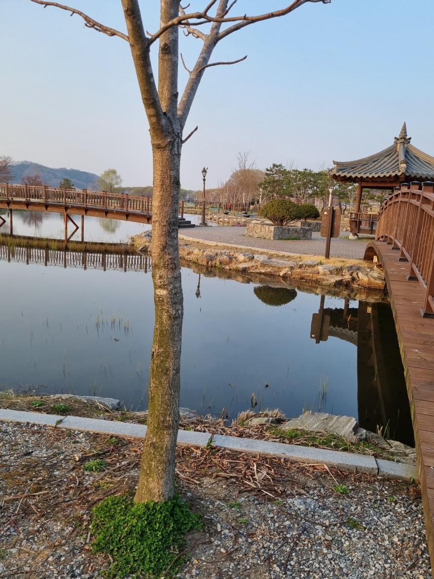 아산신정호수변공원 46