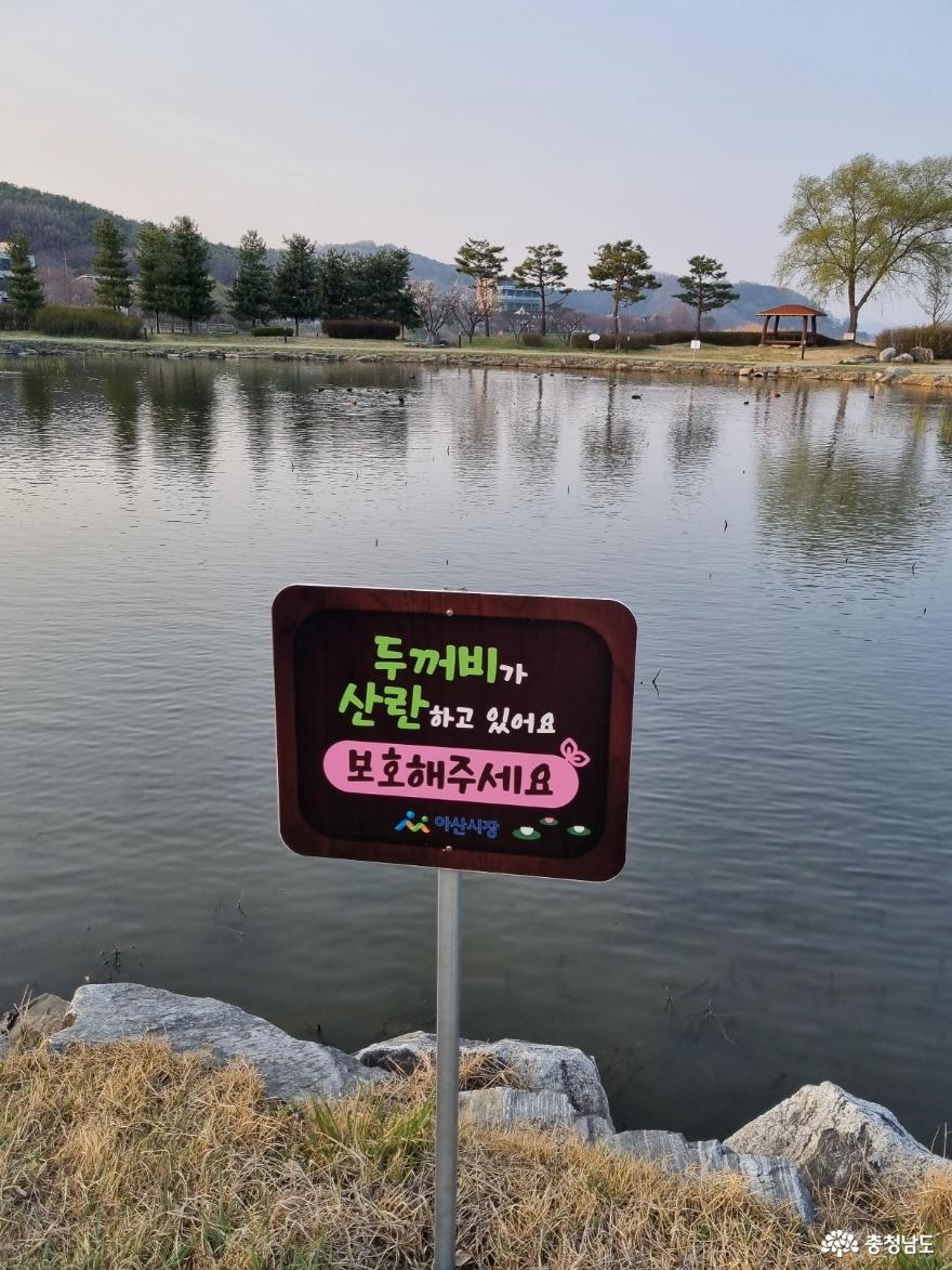 아산신정호수변공원 48