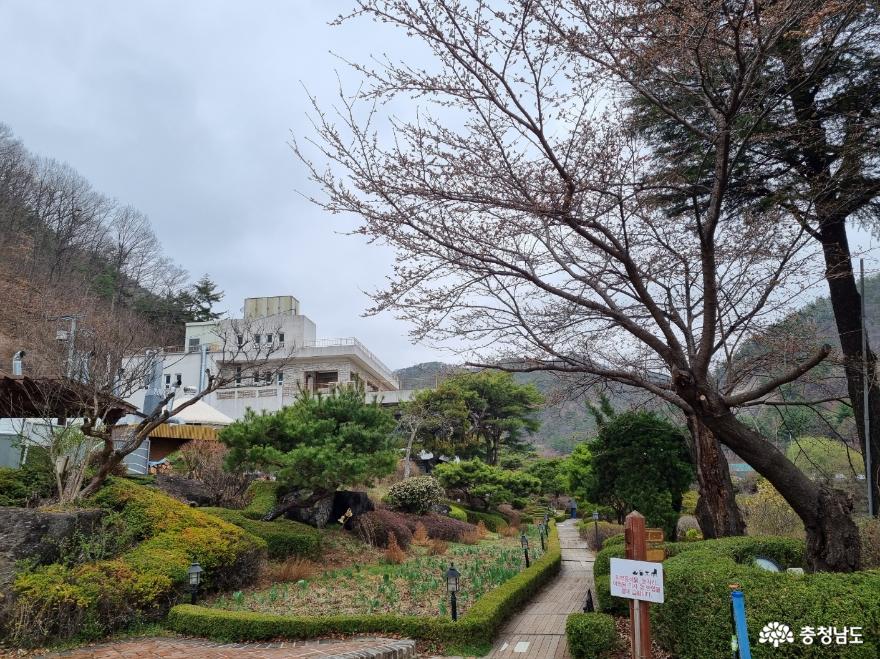 충남관광