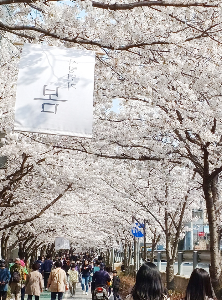 ‘벚꽃과 함께 하는 봄날’