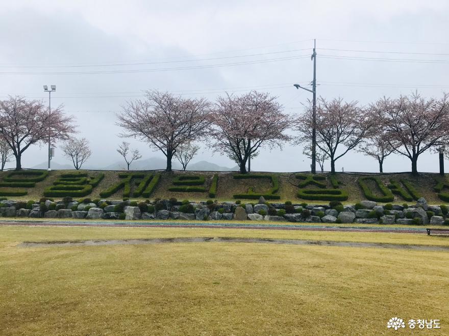 군민들의평안한안식처예산무한천체육공원 9