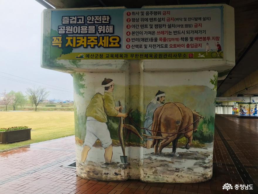 군민들의평안한안식처예산무한천체육공원 16